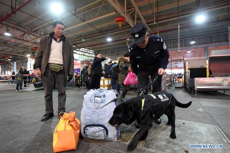 CHINA-CHONGQING-SPRING FESTIVAL-POLICE DOG (CN)