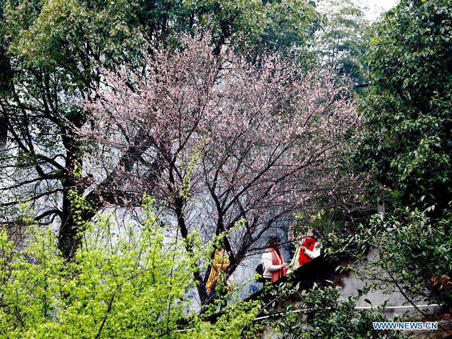 CHINA-FUJIAN-FUZHOU-TEMPLE-PLUM BLOSSOM (CN)