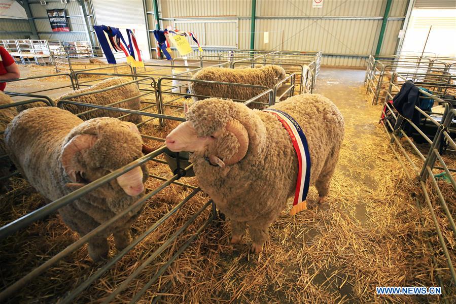 AUSTRALIA-CANBERRA-ROYAL CANBERRA SHOW