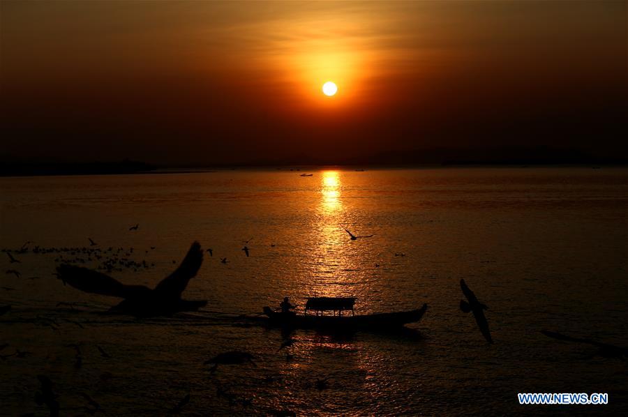 MYANMAR-MAWLAMYINE-GULLS-SUNSET