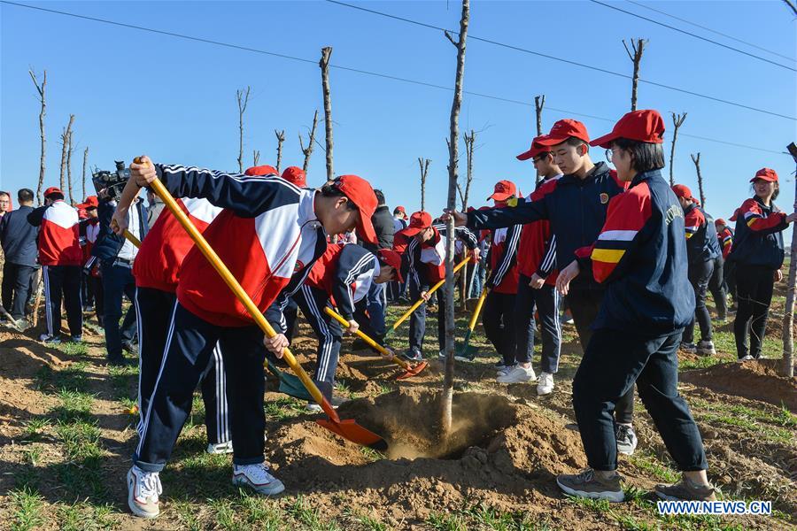 #CHINA-ARBOR DAY-TREE PLANTING (CN)