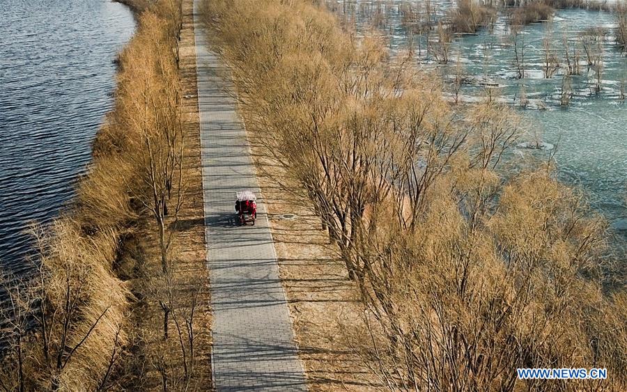 CHINA-BEIJING-WILD DUCK LAKE WETLAND NATIONAL PARK-REOPENING (CN)