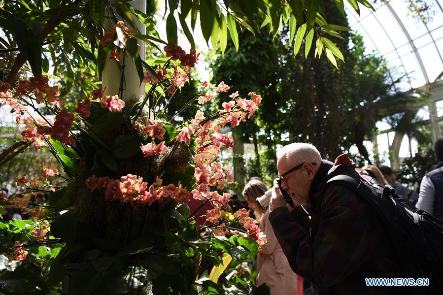 U.S.-NEW YORK-BOTANICAL GARDEN-ORCHID SHOW