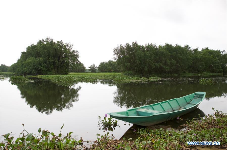 CHINA-BOAO-VILLAGE-SPRING SCENERY (CN)