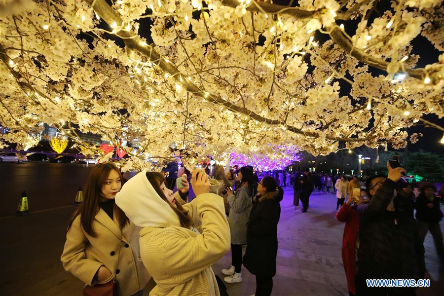 #CHINA-SHANDONG-WEIFANG-CHERRY BLOSSOMS (CN)