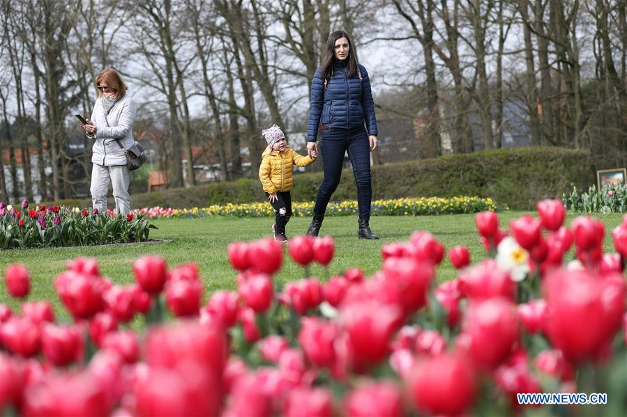 BELGIUM-BRUSSELS-FLOWER SHOW