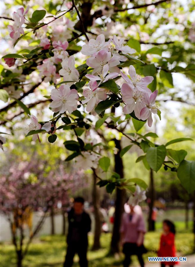 CHINA-SHANGHAI-HOLIDAY-FLOWERS (CN)