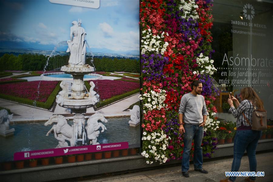 MEXICO-MEXICO CITY-FLOWERS AND GARDENS FESTIVAL