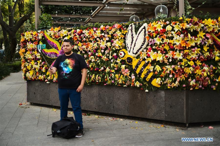 MEXICO-MEXICO CITY-FLOWERS AND GARDENS FESTIVAL