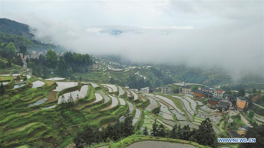 CHINA-GUIZHOU-LIPING-TERRACED FIELDS (CN)