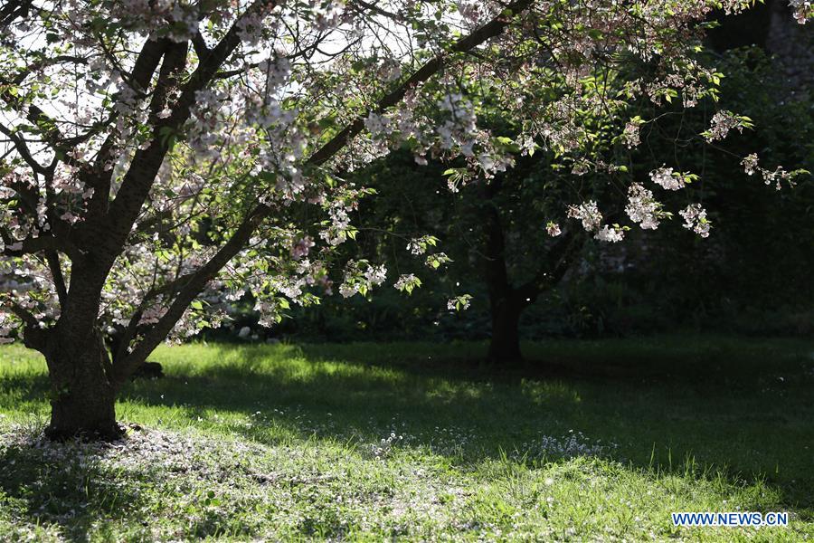 ITALY-CISTERNA-GARDEN OF NINFA