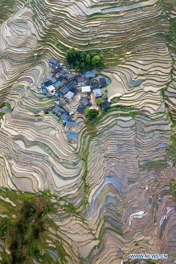 #CHINA-GUIZHOU-CONGJIANG-TERRACED FIELD (CN)