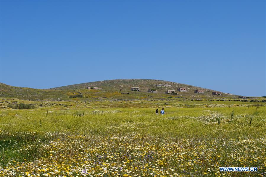 GREECE-CULTURE-ARCHAEOLOGY-DELOS