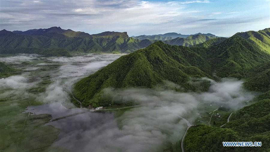 CHINA-HUBEI-SHENNONGJIA-SCENERY (CN)