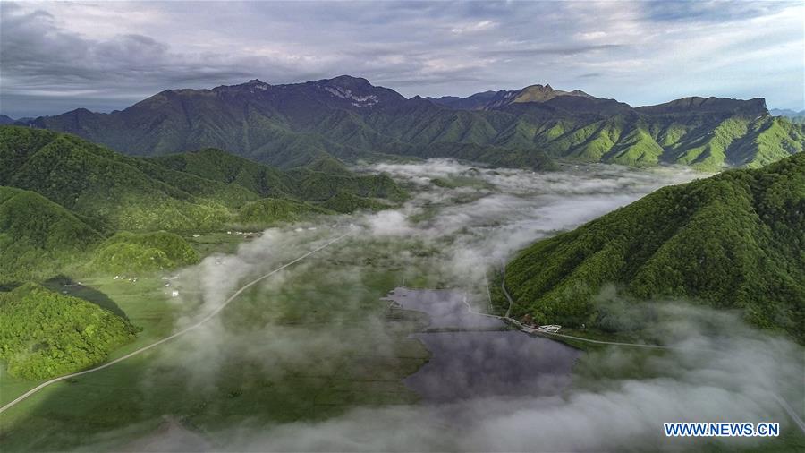 CHINA-HUBEI-SHENNONGJIA-SCENERY (CN)