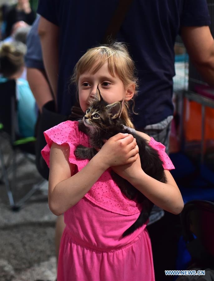 GERMANY-DORTMUND-DOG-CAT-EXHIBITION