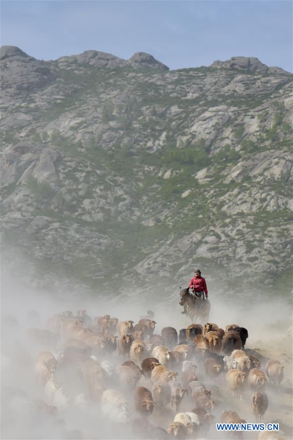 CHINA-XINJIANG-FUHAI-HERDSMEN-SUMMER PASTURE (CN)