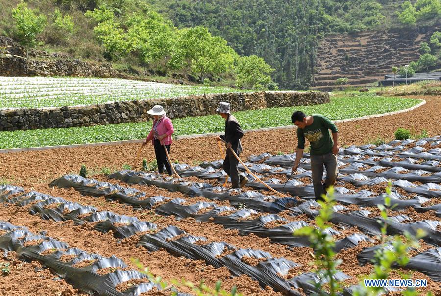 CHINA-YUNNAN-XICHOU COUNTY-POVERTY ALLEVIATION (CN) 