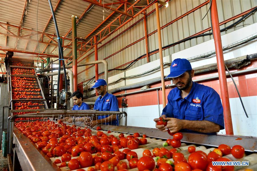 MIDEAST-GAZA-TOMATO PASTE