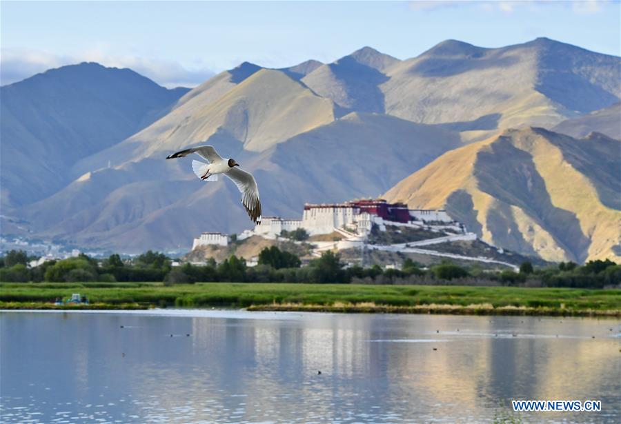 CHINA-TIBET-LHASA-LHALU WETLAND (CN)