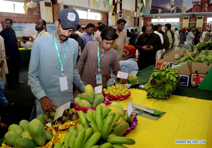 PAKISTAN-HYDERABAD-MANGO-FESTIVAL