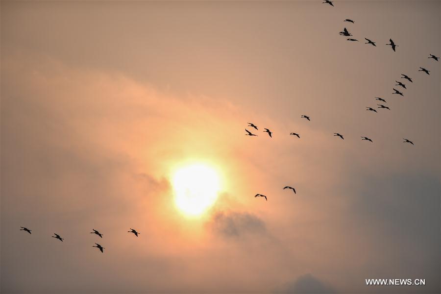 CHINA-MIGRATORY BIRD SANCTUARIES-UNESCO-WORLD HERITAGE LIST (CN)