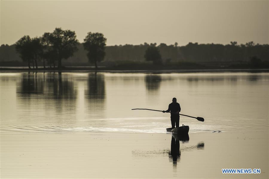 CHINA-XINJIANG-DESERT POPLAR-RANGER (CN)