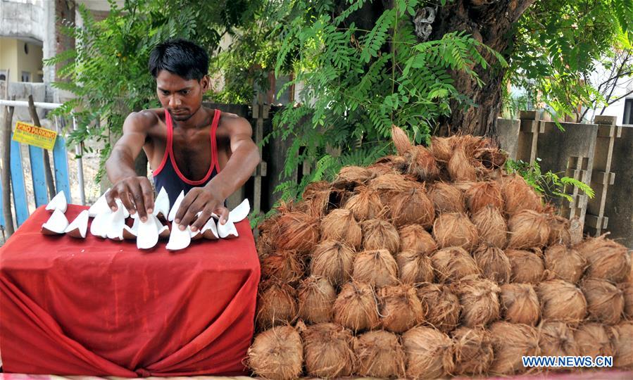 KASHMIR-JAMMU-COCONUT-VENDOR