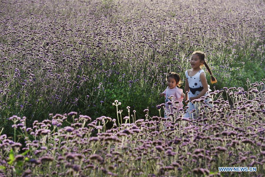 CHINA-SHAANXI-FLOWERS-TOURISM(CN)