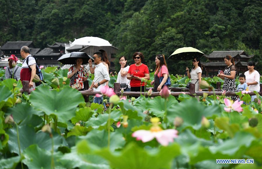 CHINA-GUIZHOU-LOTUS-TOURISM (CN)