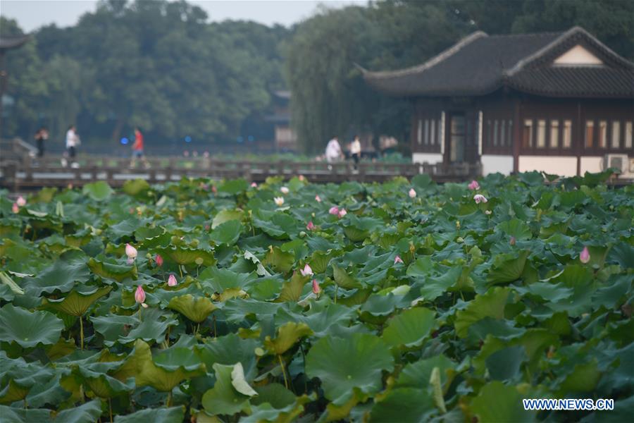 CHINA-HANGZHOU-WEST LAKE (CN)