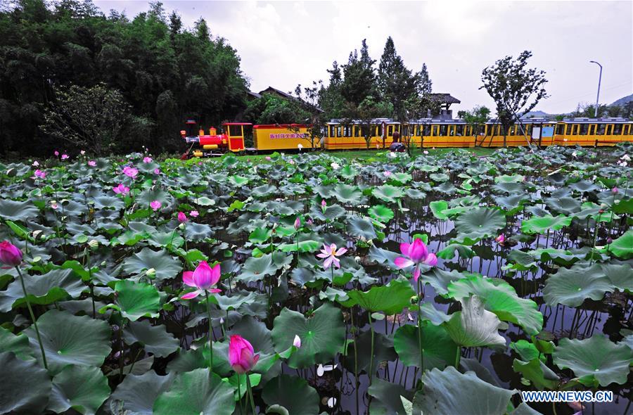 CHINA-ZHEJIANG-ANJI-RURAL DEVELOPMENT (CN)