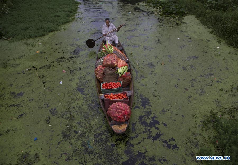 KASHMIR-SRINAGAR-DAILY LIFE