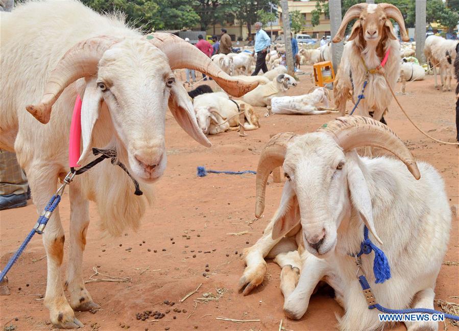 INDIA-BANGALORE-EID AL-ADHA FESTIVAL