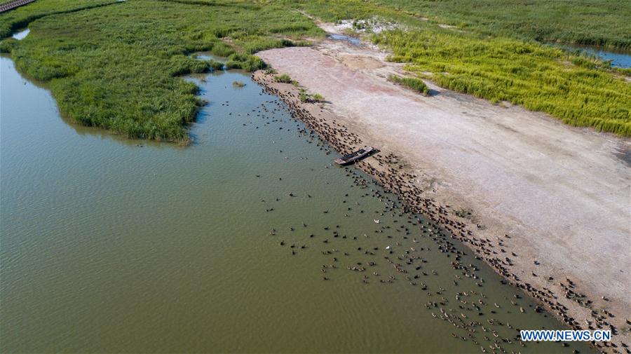 CHINA-JILIN-CHANGCHUN-CHAGAN LAKE(CN)