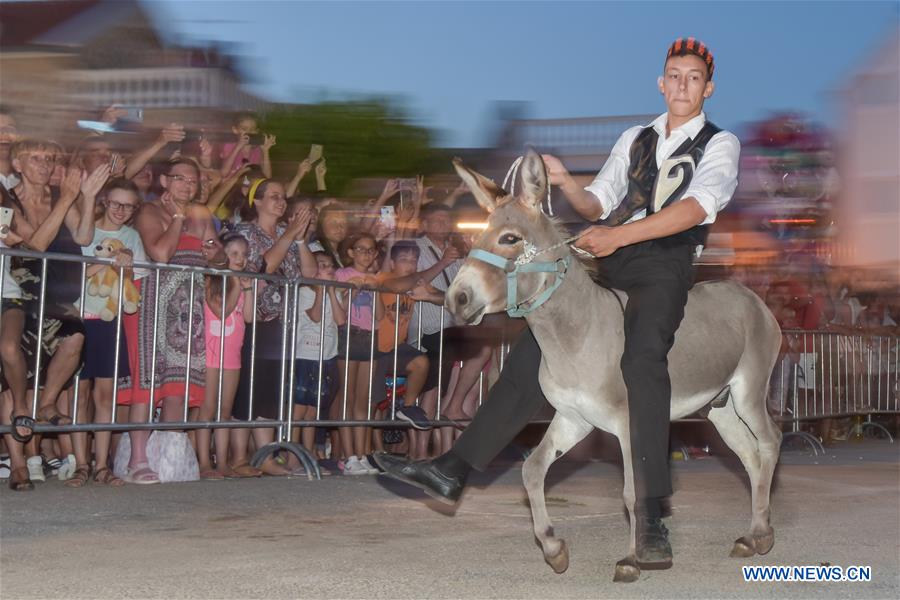 CROATIA-TRIBUNJ-DONKEY RACE