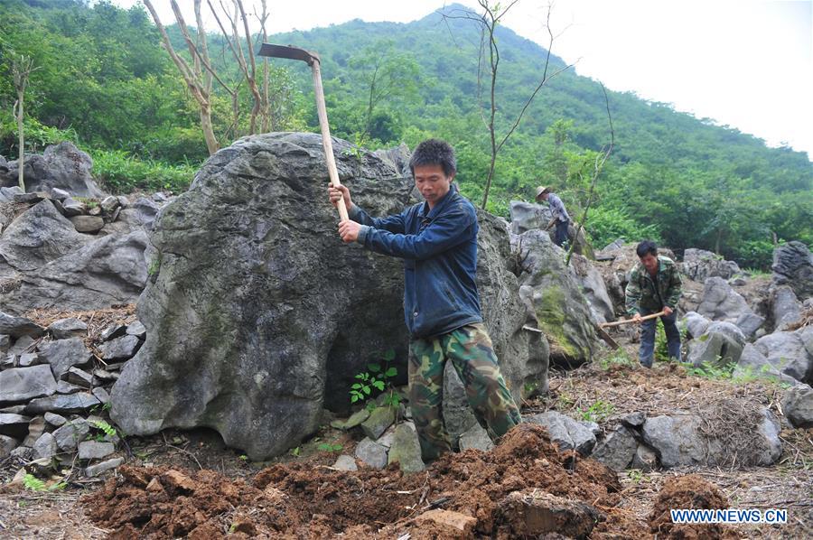 CHINA-GUANGXI-RONGAN-POVERTY ALLEVIATION (CN)