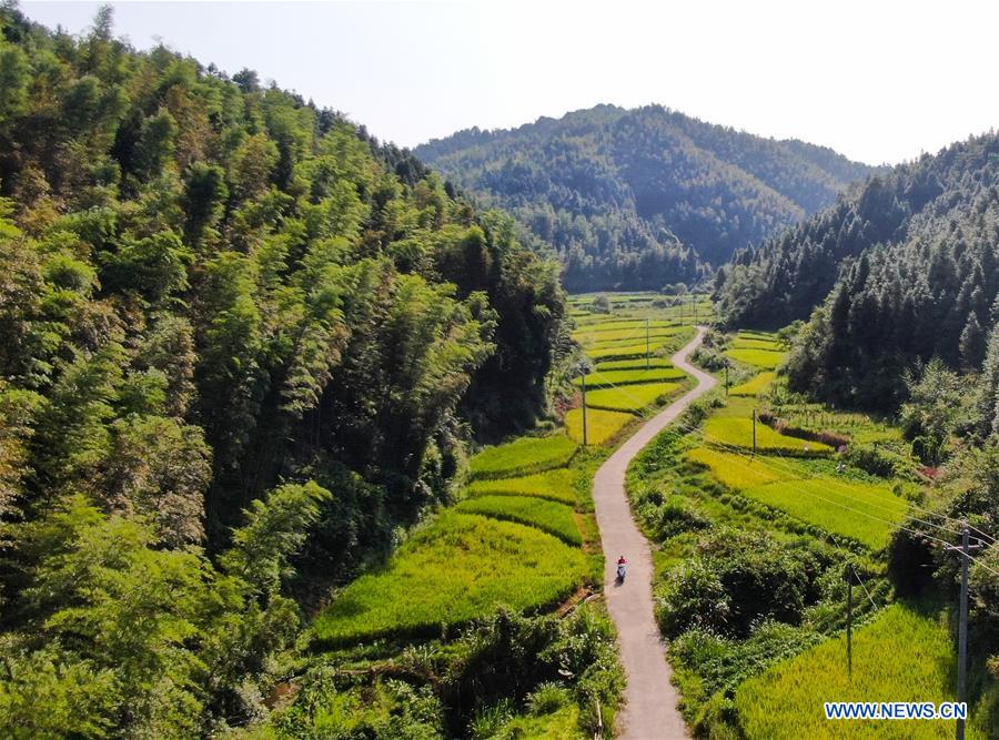 CHINA-JIANGXI-RUIJIN-FEMALE CHEF-POVERTY ALLEVIATION (CN)