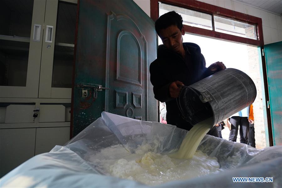 CHINA-GANSU-YAK MILK-RESIDUE-POVERTY ALLEVIATION (CN)