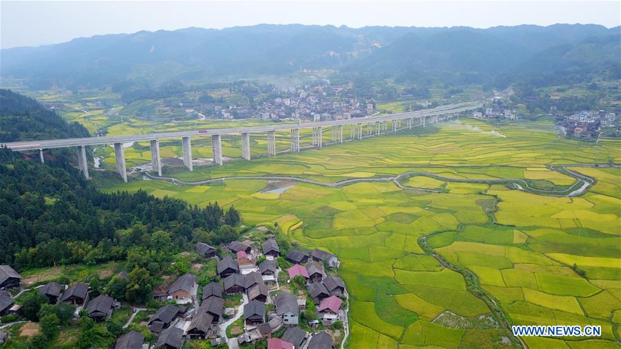 CHINA-GUIZHOU-PADDY FIELDS-TERRACED LANDS (CN)