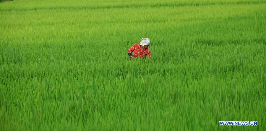 NEPAL-BHAKTAPUR-DAILY LIFE