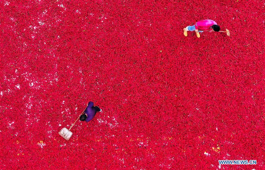 CHINA-HARVEST-AERIAL VIEW (CN)