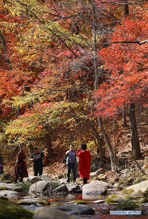 CHINA-LIAONING-AUTUMN SCENERY (CN)