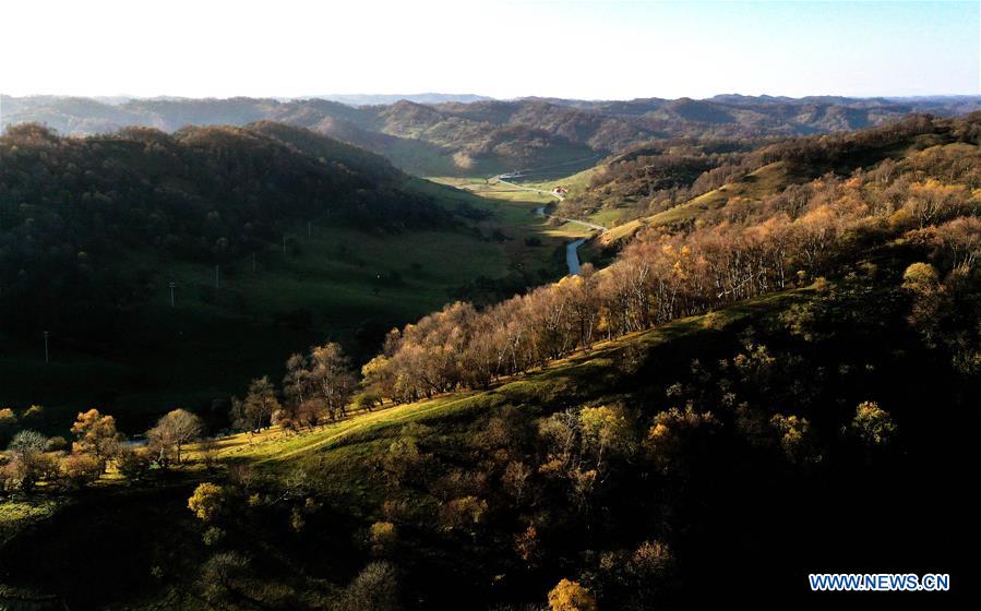 CHINA-SHAANXI-AUTUMN-PASTURE-SCENERY (CN)