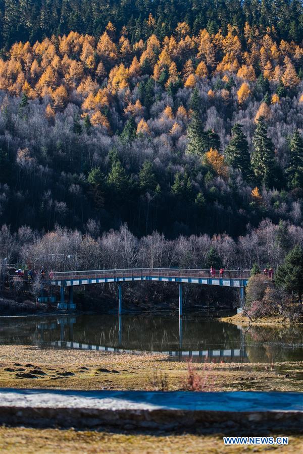 CHINA-YUNNAN-SHANGRI-LA-POTATSO NATIONAL PARK-AUTUMN SCENERY (CN)