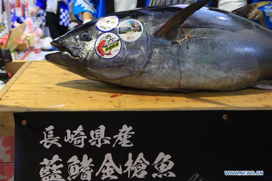 (CIIE)CHINA-SHANGHAI-CIIE-FOOD-JAPAN-TUNA DISINTEGRATING SHOW (CN)