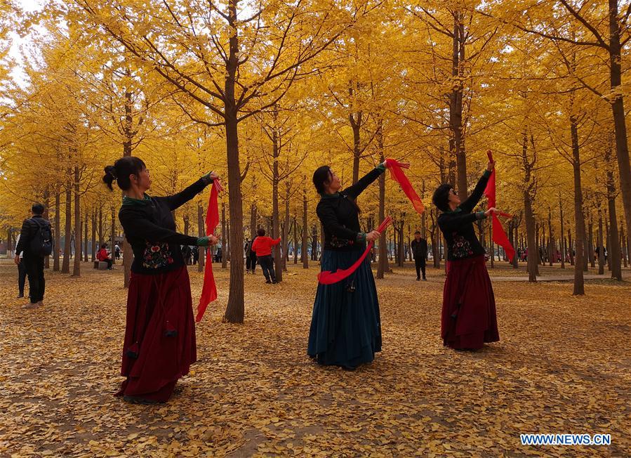 (BeijingCandid)CHINA-BEIJING-AUTUMN (CN)