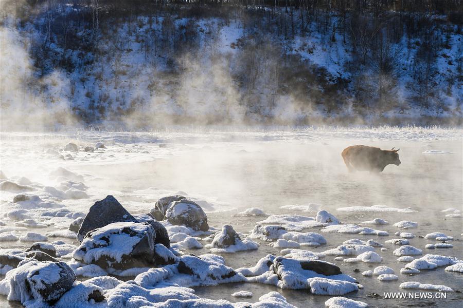 CHINA-INNER MONGOLIA-ARXAN-HALHA RIVER-WINTER SCENERY (CN)