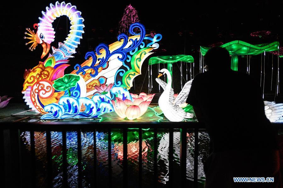 CHILE-SANTIAGO-CHINESE LANTERN FESTIVAL