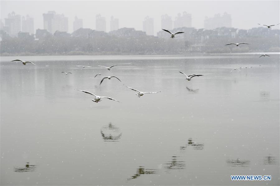 CHINA-NINGXIA-YINCHUAN-SNOWFALL (CN)